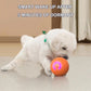 🐶🎾 ¡OFERTA 50% OFF! Pelota Inteligente Interactiva para Mascotas – Diversión Automática y Juego Sin Fin 🐾✨